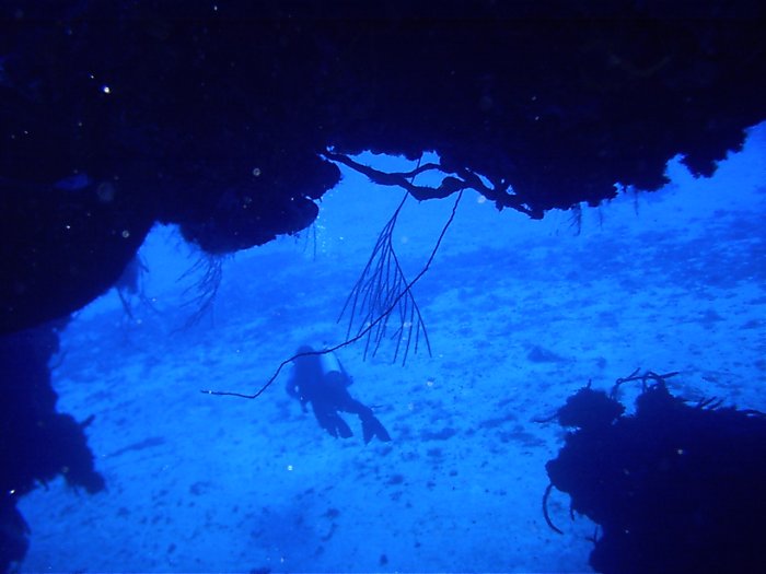 Click pic to return to Cozumel Pictures page.