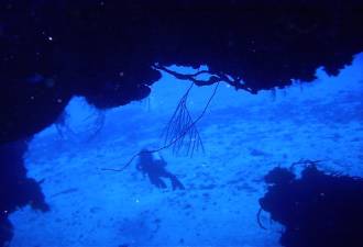 Learn how to safely manage the risks of scuba through scuba training from Dave's Outdoor Adventures.