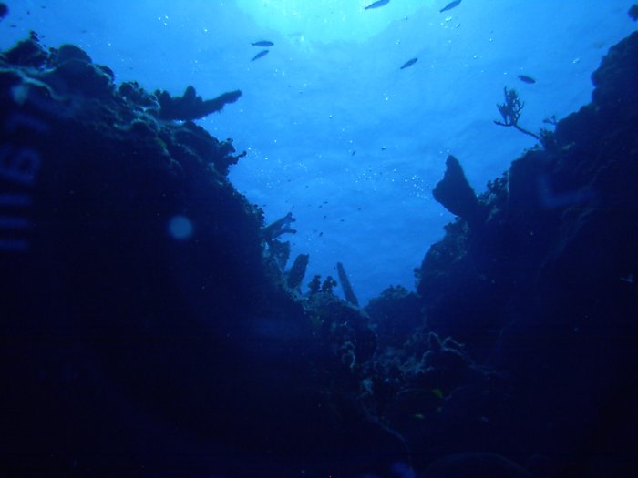 Click pic to return to Cozumel Pictures page.