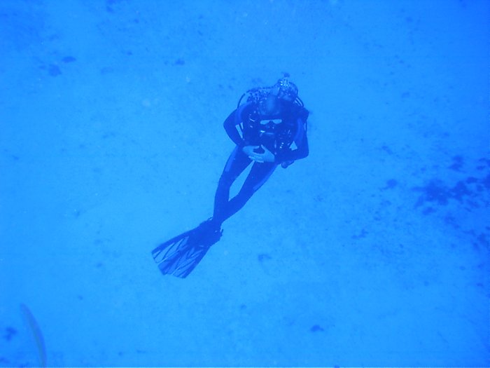 Click pic to return to Cozumel Pictures page.