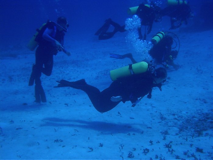 Click pic to return to Cozumel Pictures page.
