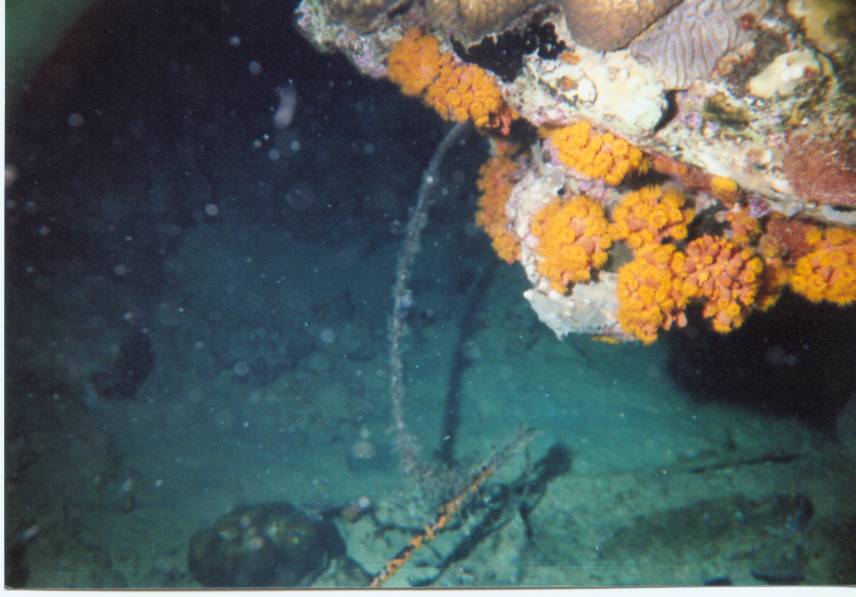 Click pic to return to Bonaire Pictures page.