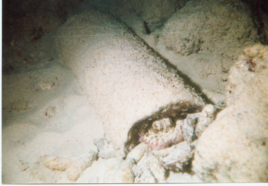 Click pic to return to Bonaire Pictures page.