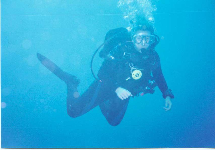 Click pic to return to Bonaire Pictures page.