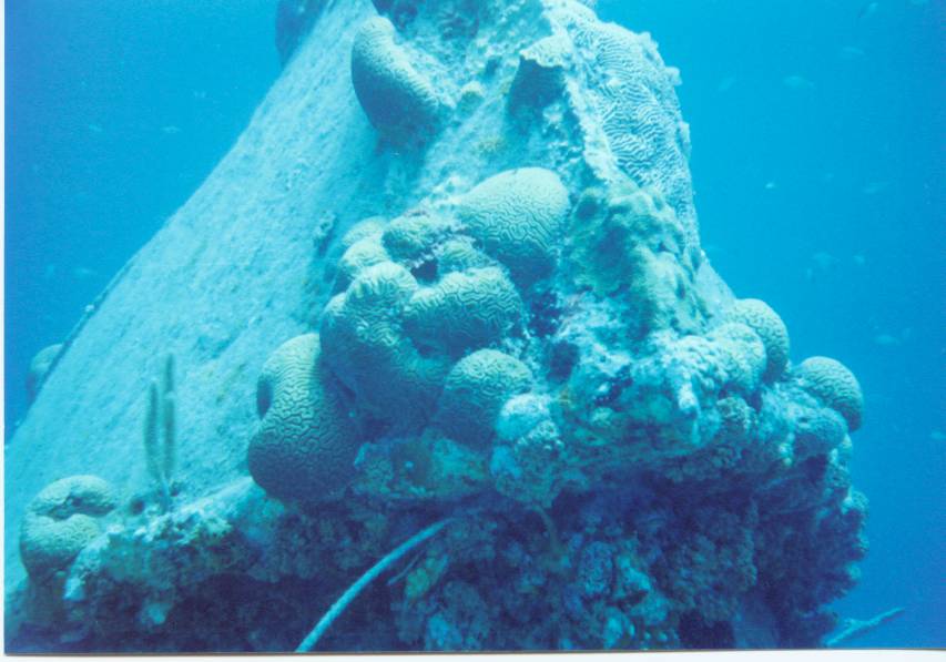 Click pic to return to Bonaire Pictures page.