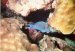 Contact DOA for information about scuba diving Lake Mead.