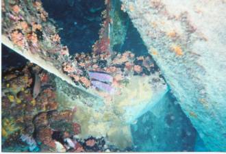 DOA's Bonaire Picture gallery.
