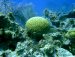 Two more dives followed lunch.
