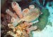 Get certified today.  Dave's Outdoor Adventures offers scuba diving classes in Las Vegas.