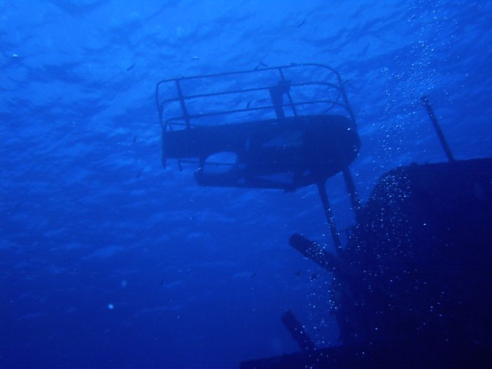 Click pic to return to Cozumel Pictures page.