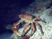Unless you're crabby.