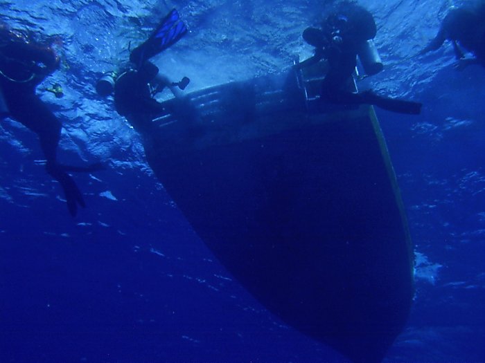 Click pic to return to Cozumel Pictures page.
